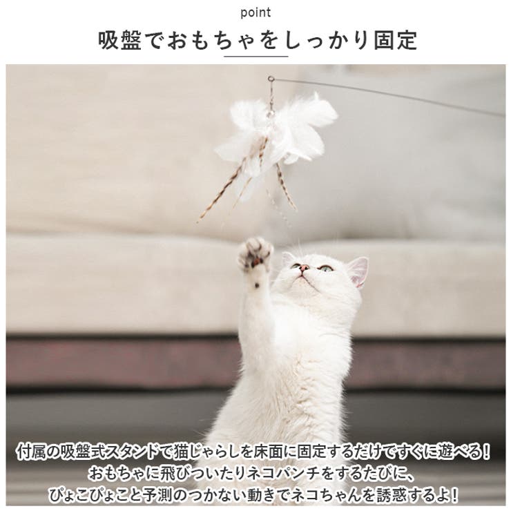 猫じゃらし 吸盤式 kcattoy12 | BACKYARD FAMILY | 詳細画像4 