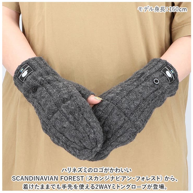 スカンジナビアンフォレスト