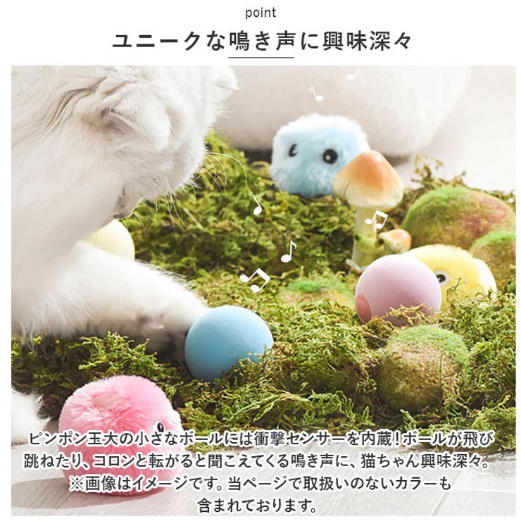 ねこ