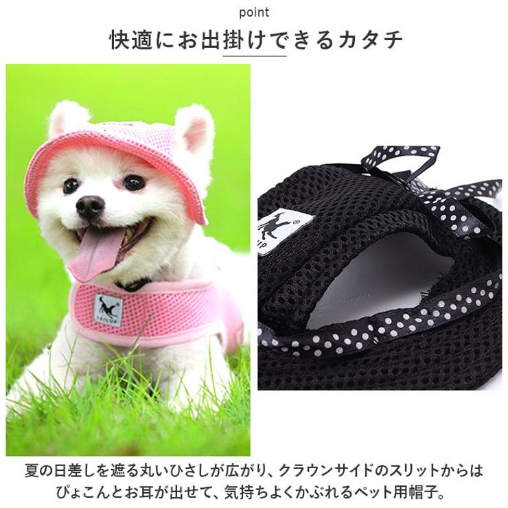 ペット用帽子 yktailuphat | BACKYARD FAMILY | 詳細画像3 