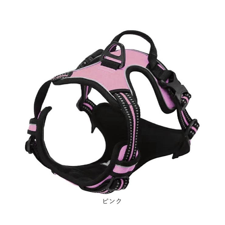 犬
