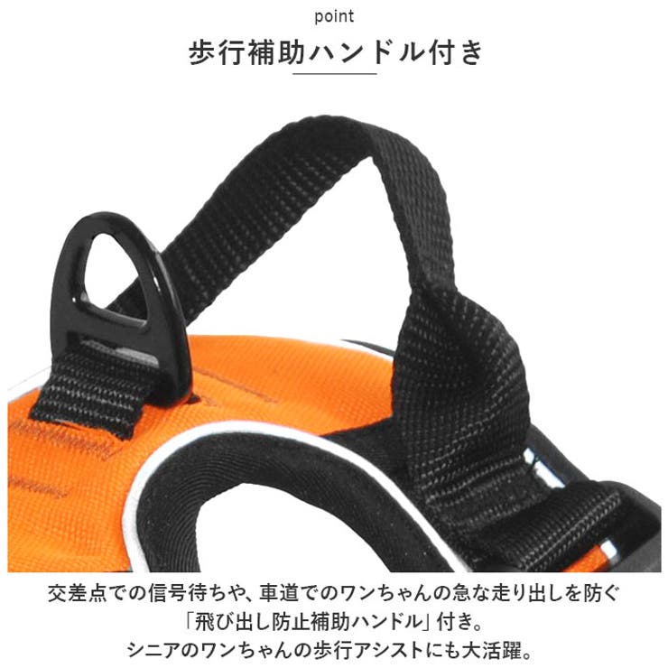 犬