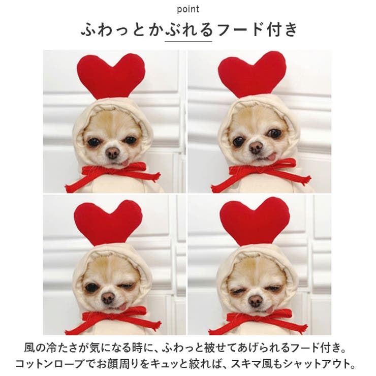ドッグウェア