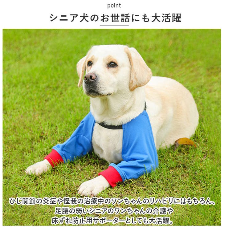 ひじサポーター 犬用 pmydogsp01 | BACKYARD FAMILY | 詳細画像8 