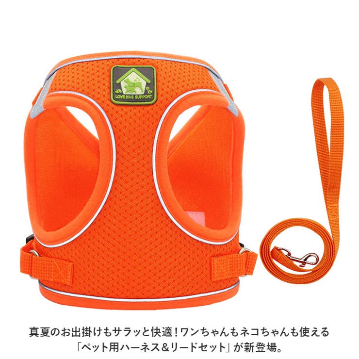 犬 ハーネス pkbl885 | BACKYARD FAMILY | 詳細画像2 