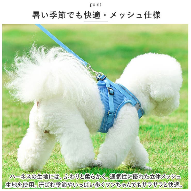 犬 ハーネス pkbl885 | BACKYARD FAMILY | 詳細画像3 