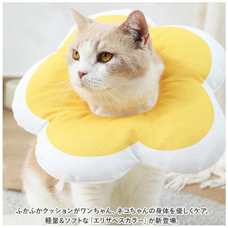 ソフトエリザベスカラー ykdt1018[品番：BCYW0022986]｜BACKYARD