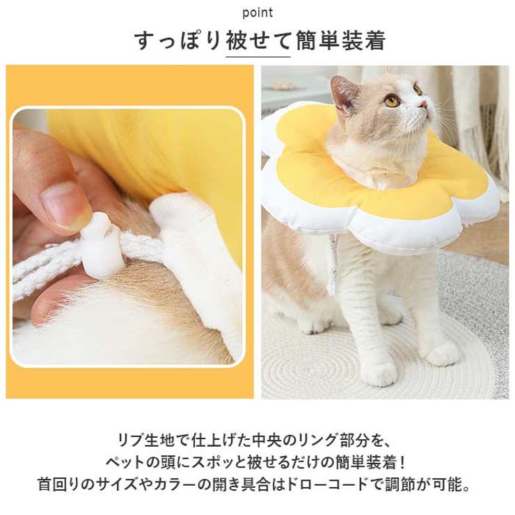 ソフトエリザベスカラー ykdt1018[品番：BCYW0022986]｜BACKYARD