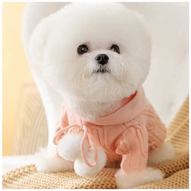 ペットウェア 猫 犬 フード付き おしゃれ 秋冬 yspf5286 | BACKYARD FAMILY | 詳細画像3 