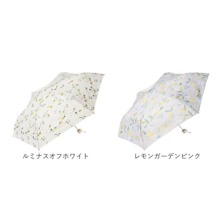 ベーシックミニ 50cm | BACKYARD FAMILY | 詳細画像14 