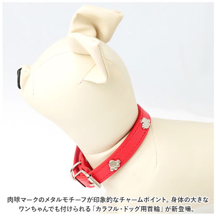 首輪 kpet10[品番：BCYW0023477]｜BACKYARD FAMILY（バックヤード