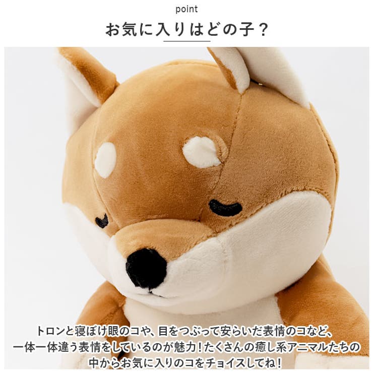 プレミアムねむねむアニマルズ 座り抱きまくら S | BACKYARD FAMILY | 詳細画像8 