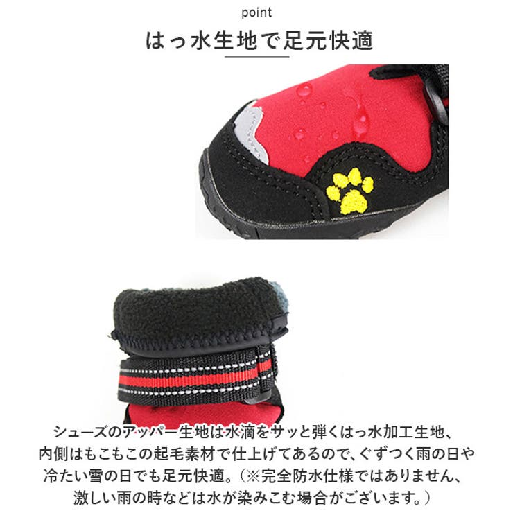 犬