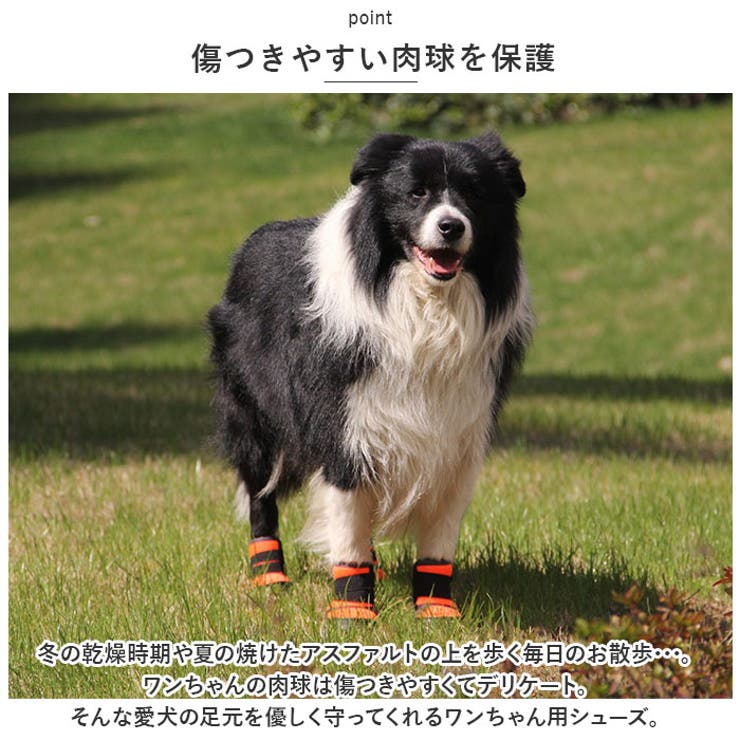 犬の靴 足の保護 お散歩