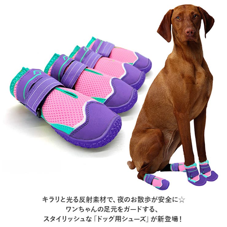 犬靴 nadogs6800[品番：BCYW0023564]｜BACKYARD FAMILY（バックヤード
