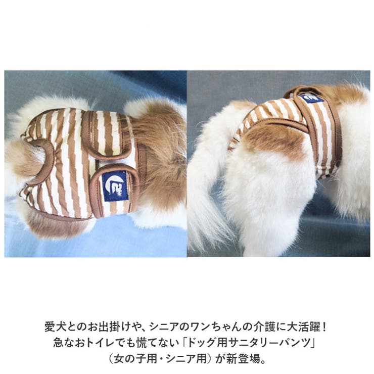 未使用  pipiDogs ワンちゃん用サニタリーパンツ4号　確認用です 未使用 pipiDogs ワンちゃん用サニタリーパンツ4号確認用です