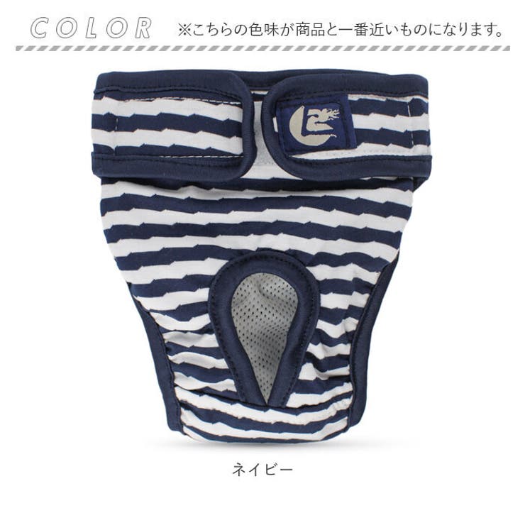 マナーパンツ 犬 ペット サニタリーパンツ lspt0266 | BACKYARD FAMILY | 詳細画像11 