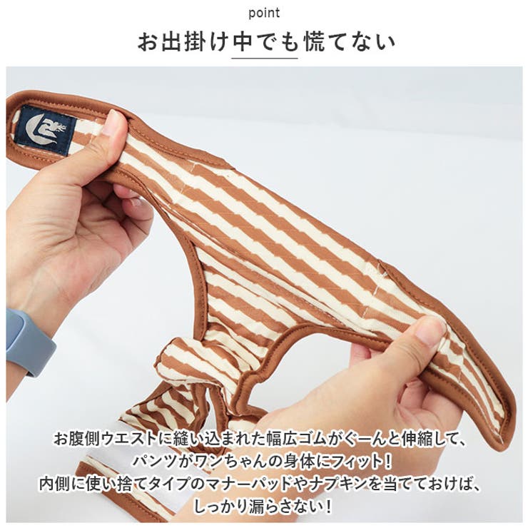 マナーパンツ 犬 ペット サニタリーパンツ lspt0266 | BACKYARD FAMILY | 詳細画像5 