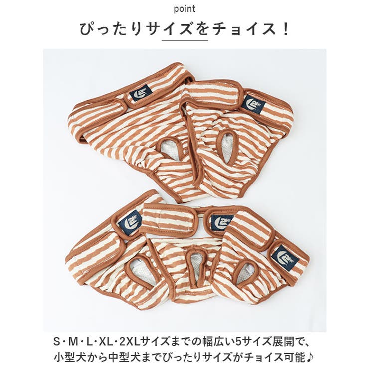 マナーパンツ 犬 ペット サニタリーパンツ lspt0266 | BACKYARD FAMILY | 詳細画像8 