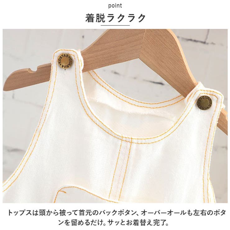 セットアップ