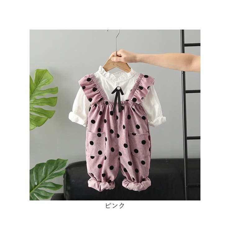 セットアップ