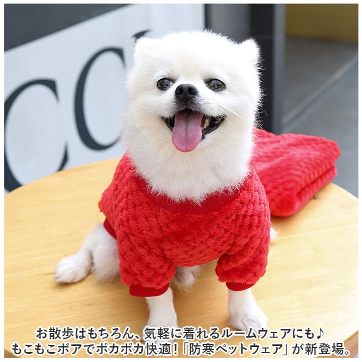犬