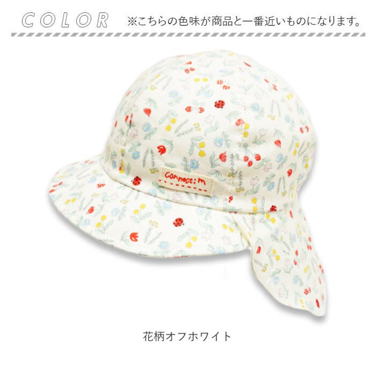 ベビーバオバブ | BACKYARD FAMILY | 詳細画像11 