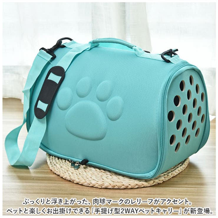 ペットキャリーバッグ 小型犬 猫 cxpt600[品番：BCYW0024458