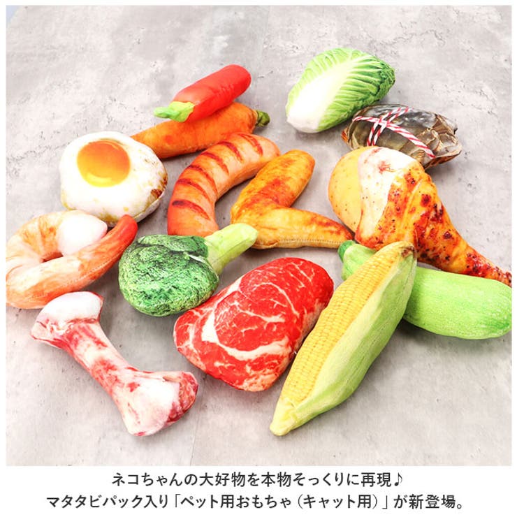 ペット用 玩具 マタタビ 猫用 xjcattoy01 | BACKYARD FAMILY | 詳細画像2 