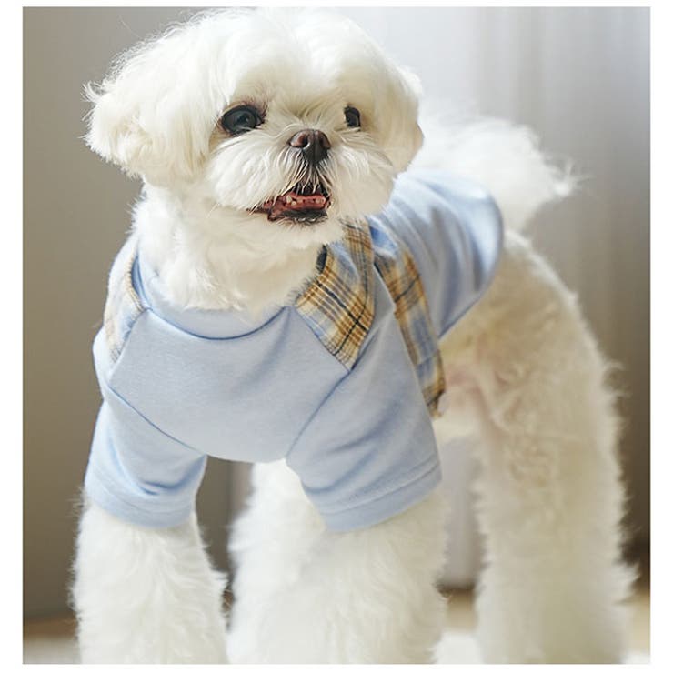 ペットウェア ロンパース かわいい 春秋冬 yschee5357 | BACKYARD FAMILY | 詳細画像3 