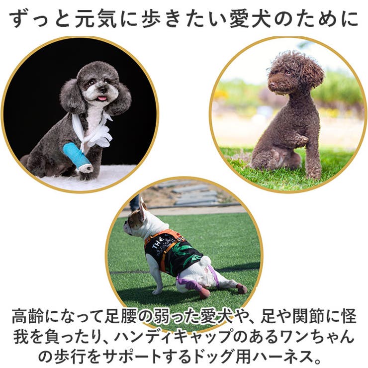 犬 ハーネス 介護用 pmyhanesu30 | BACKYARD FAMILY | 詳細画像3 