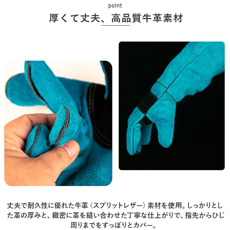 ペット