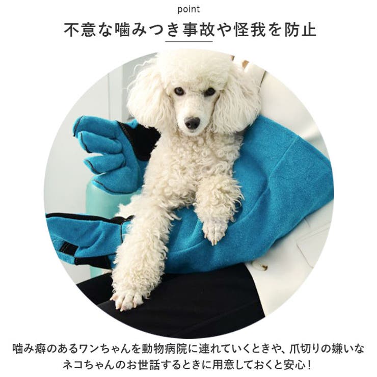 ペット