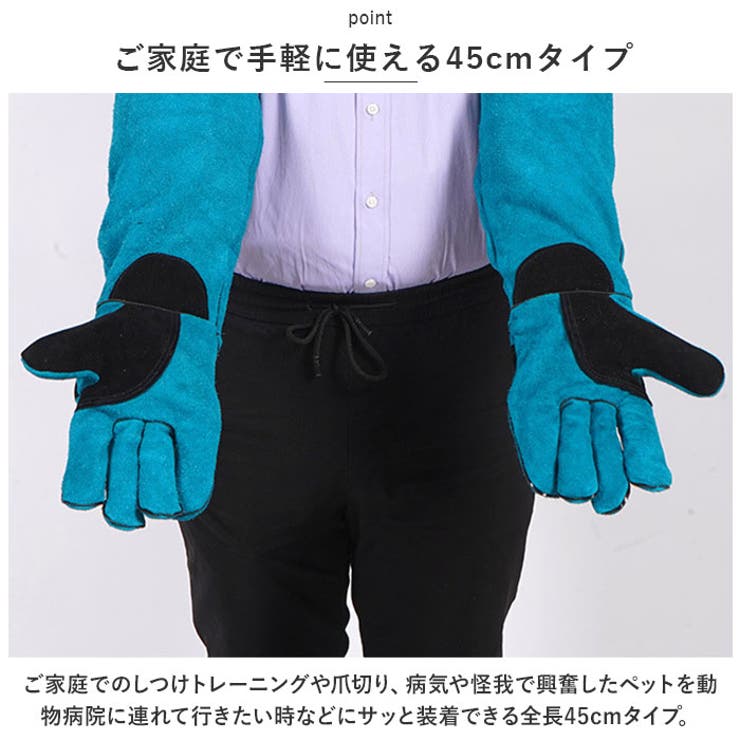 ペット