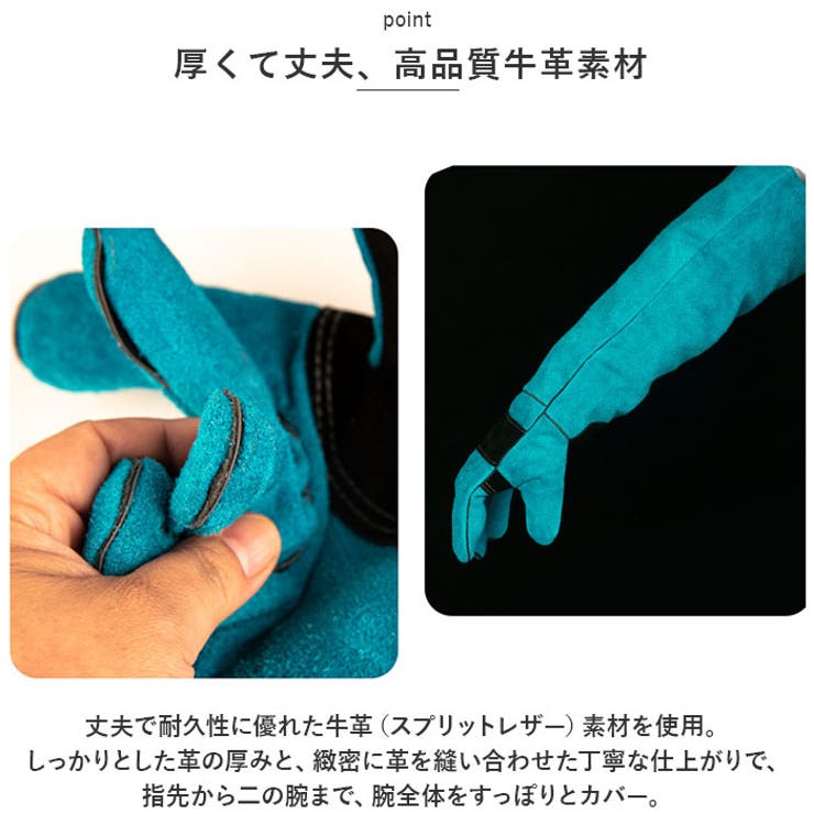 ペット グローブ 60cm spetglove60 | BACKYARD FAMILY | 詳細画像3 