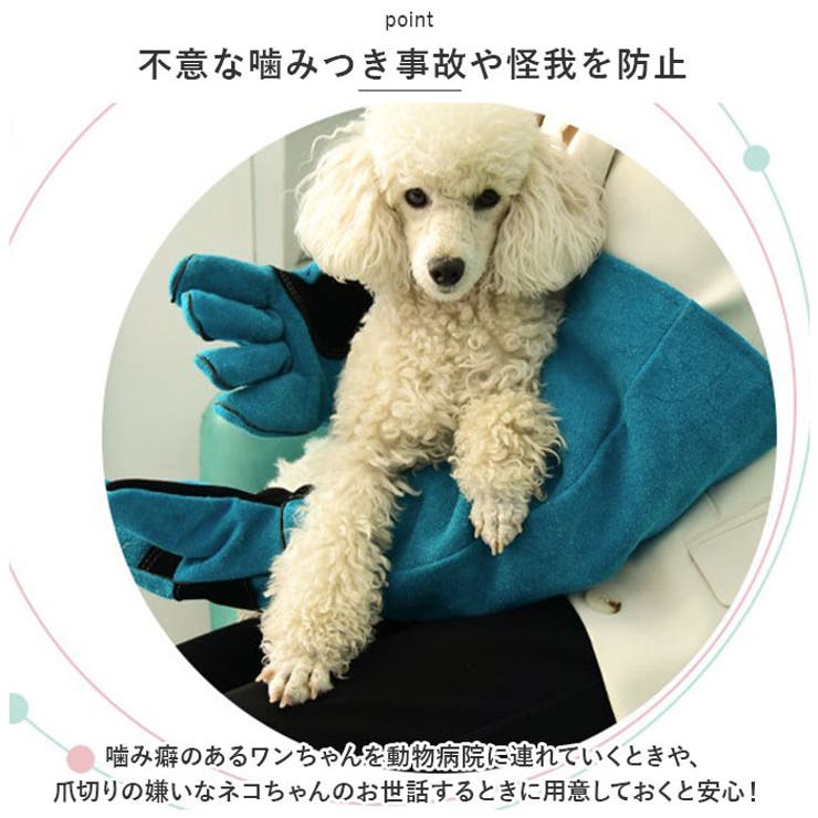 ペット グローブ 60cm spetglove60 | BACKYARD FAMILY | 詳細画像4 