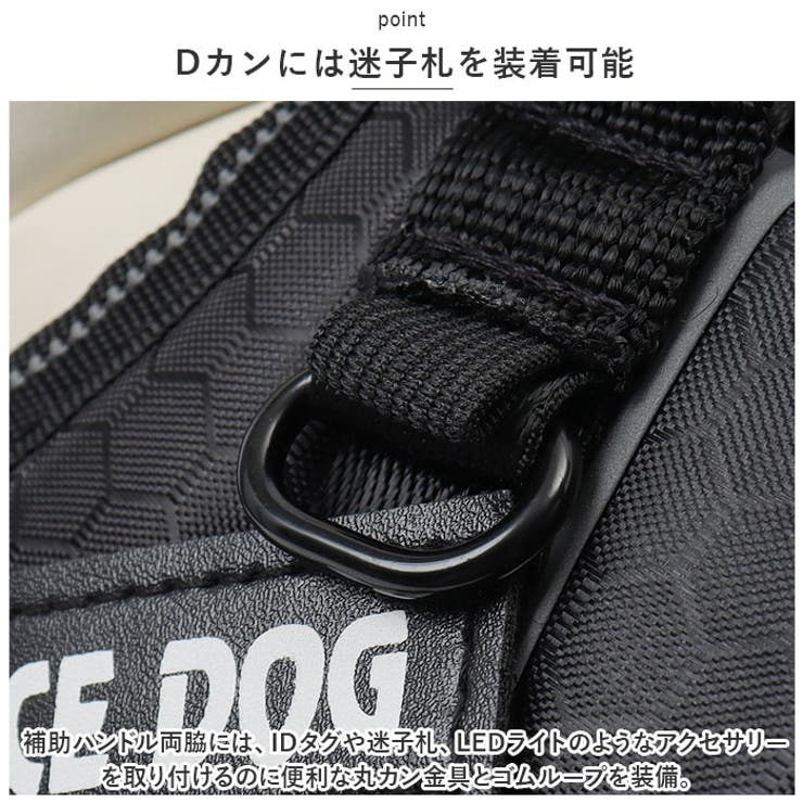 犬