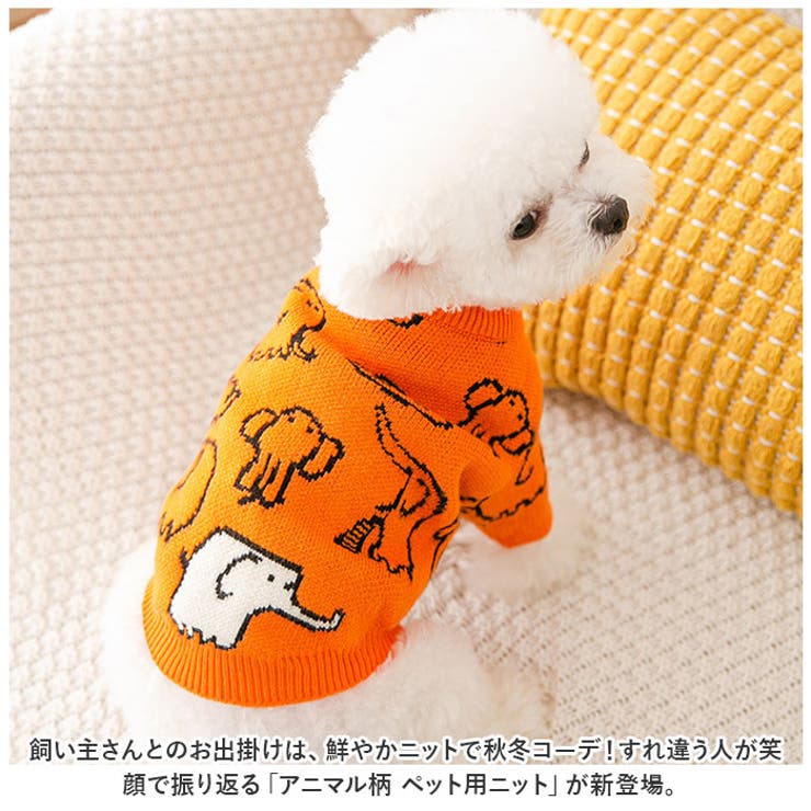 ペットウェア ニット 秋冬 yk2104c | BACKYARD FAMILY | 詳細画像2 