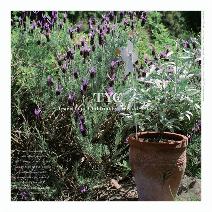 ウインドスピナー | BACKYARD FAMILY | 詳細画像7 