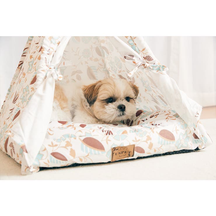 犬