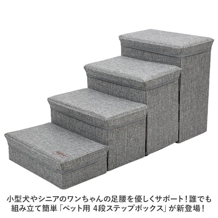 ドッグステップ