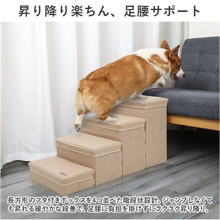 ドッグステップ