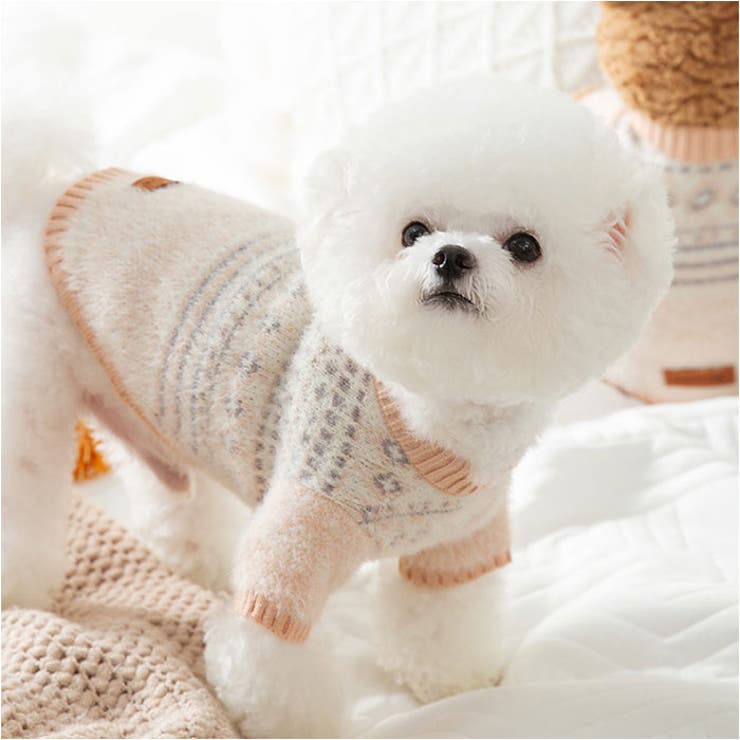 ペット服 セーター ykdc2312 | BACKYARD FAMILY | 詳細画像6 