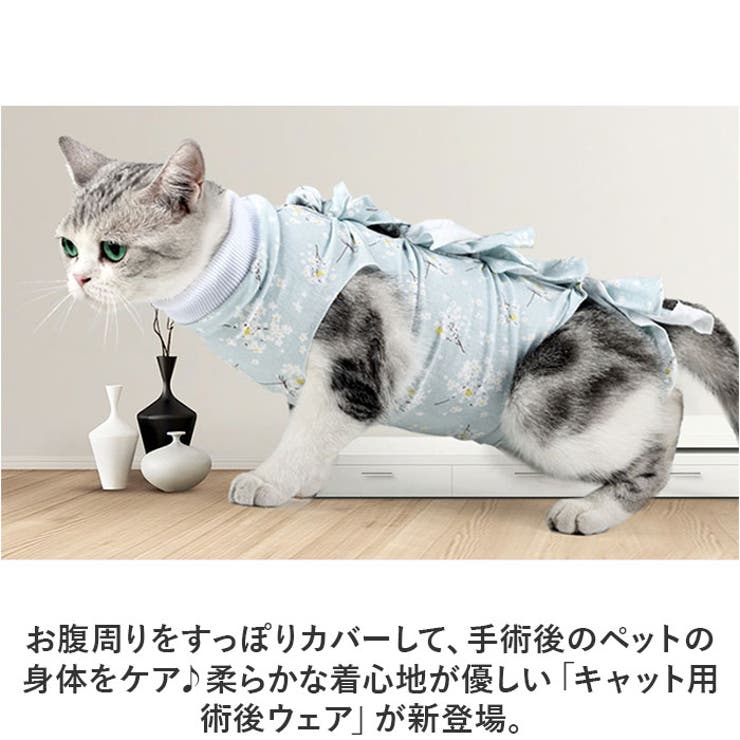ペット術後服 猫傷舐め防止 ykp0012[品番：BCYW0027605