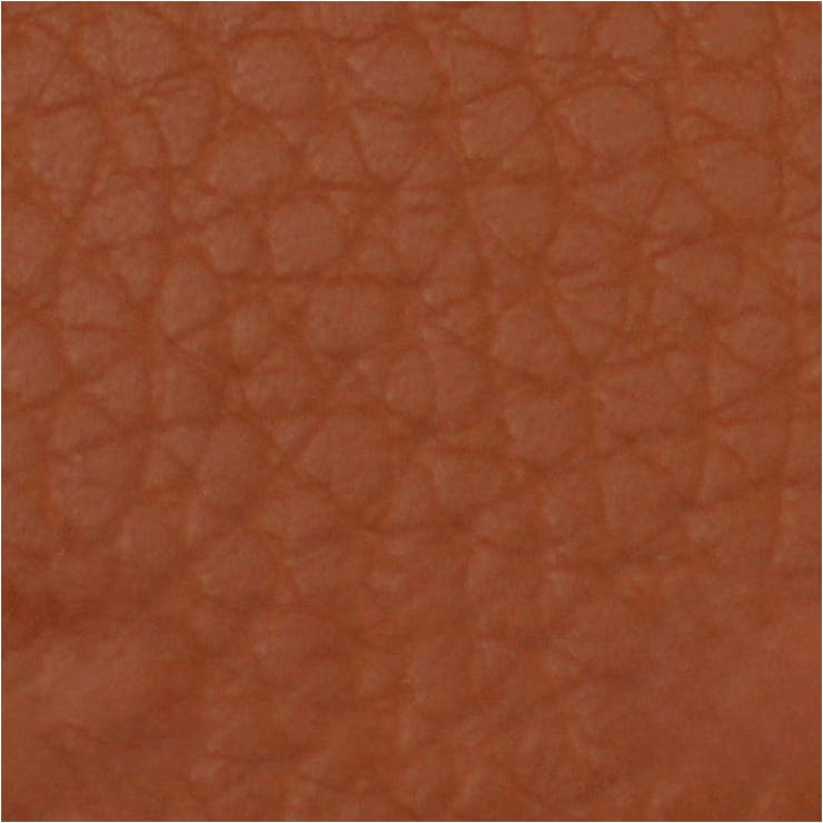 メガネケース かわいい 携帯用 sgcase102 | BACKYARD FAMILY | 詳細画像13 