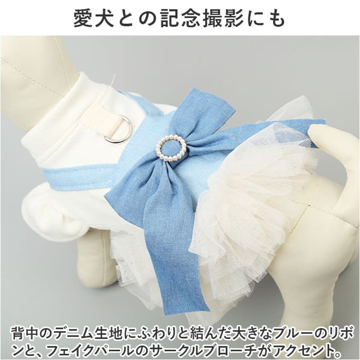 犬ドレス