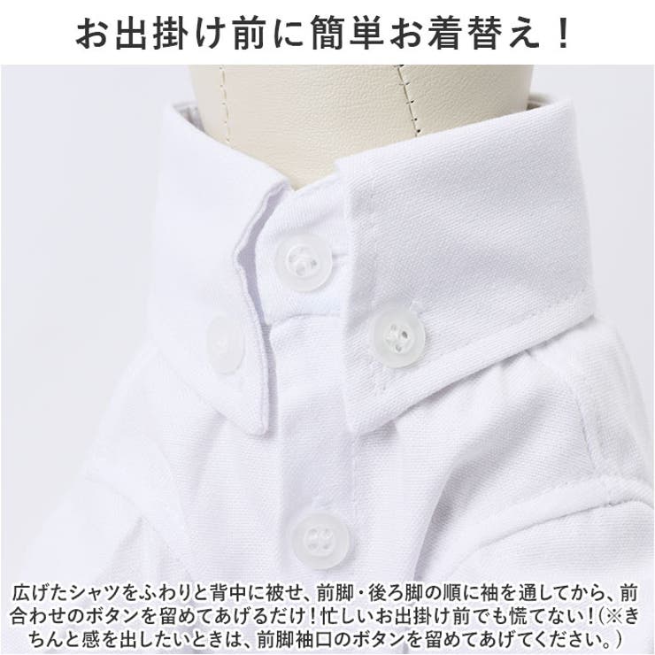 ペット