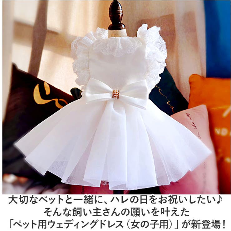 ペットウェア ウェディングドレス kpetwd04 | BACKYARD FAMILY | 詳細画像2 