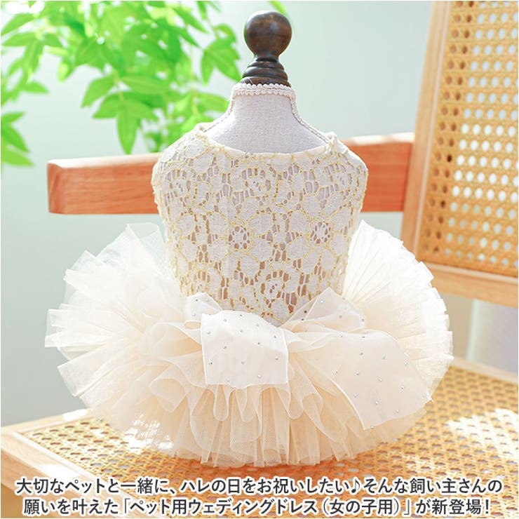 ペットウェア ウェディングドレス kpetwd06[品番：BCYW0026903