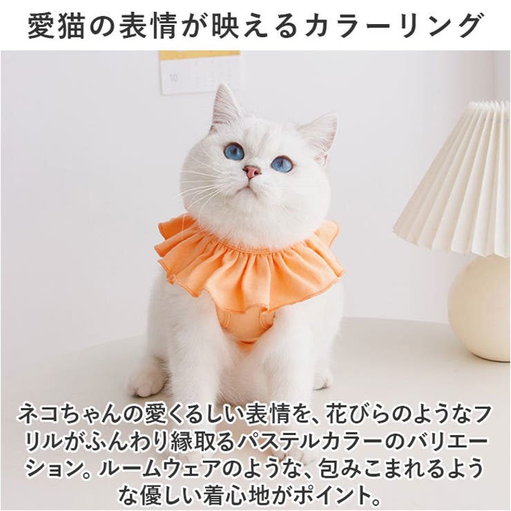 BABY　猫ちゃん柄のスカート ねこくみゃちゃんのドットリボン | BABY, THE STARS SHINE BRIGHT